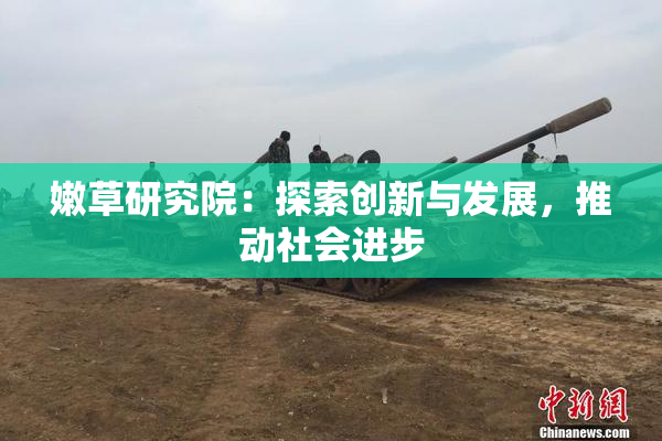 嫩草研究院：探索创新与发展，推动社会进步