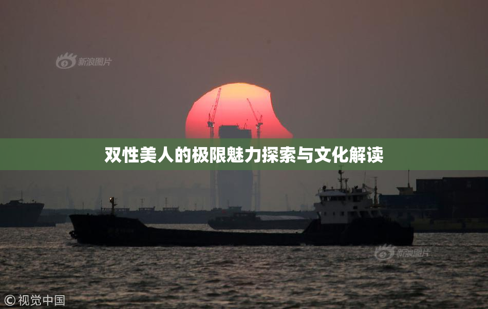 双性美人的极限魅力探索与文化解读