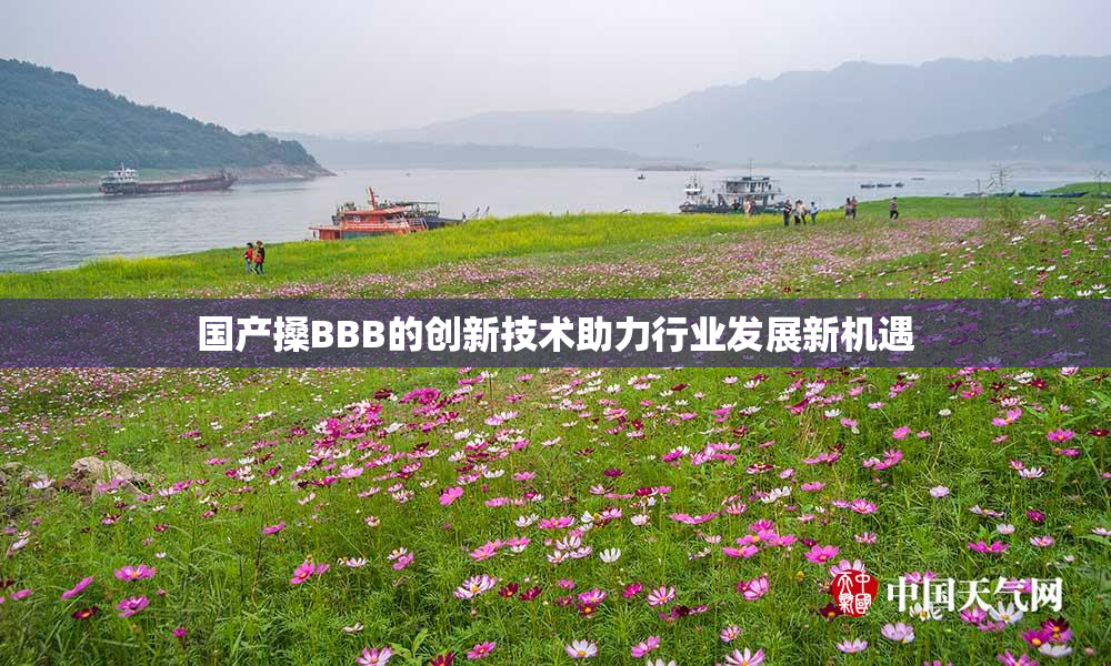 国产搡BBB的创新技术助力行业发展新机遇