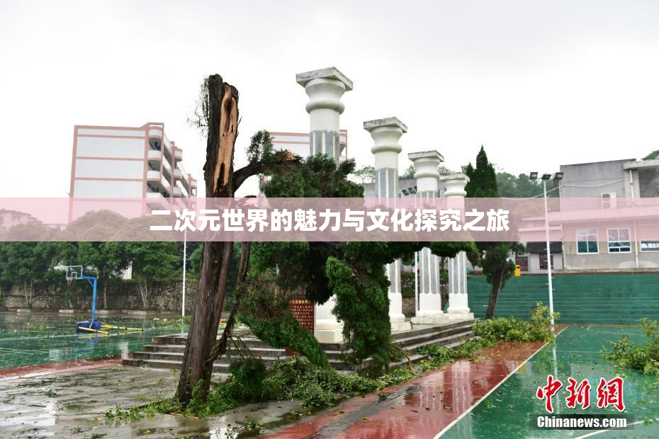 二次元世界的魅力与文化探究之旅