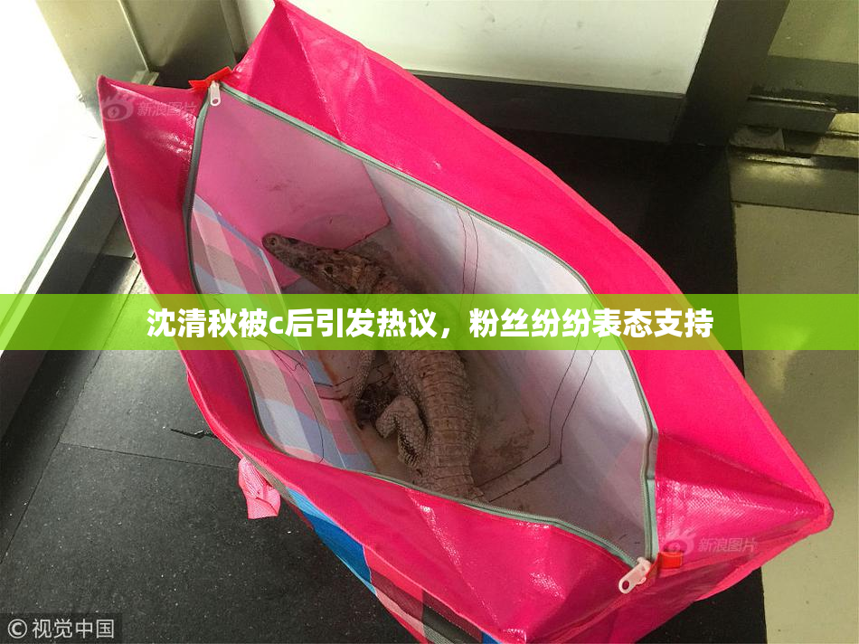 沈清秋被c后引发热议，粉丝纷纷表态支持