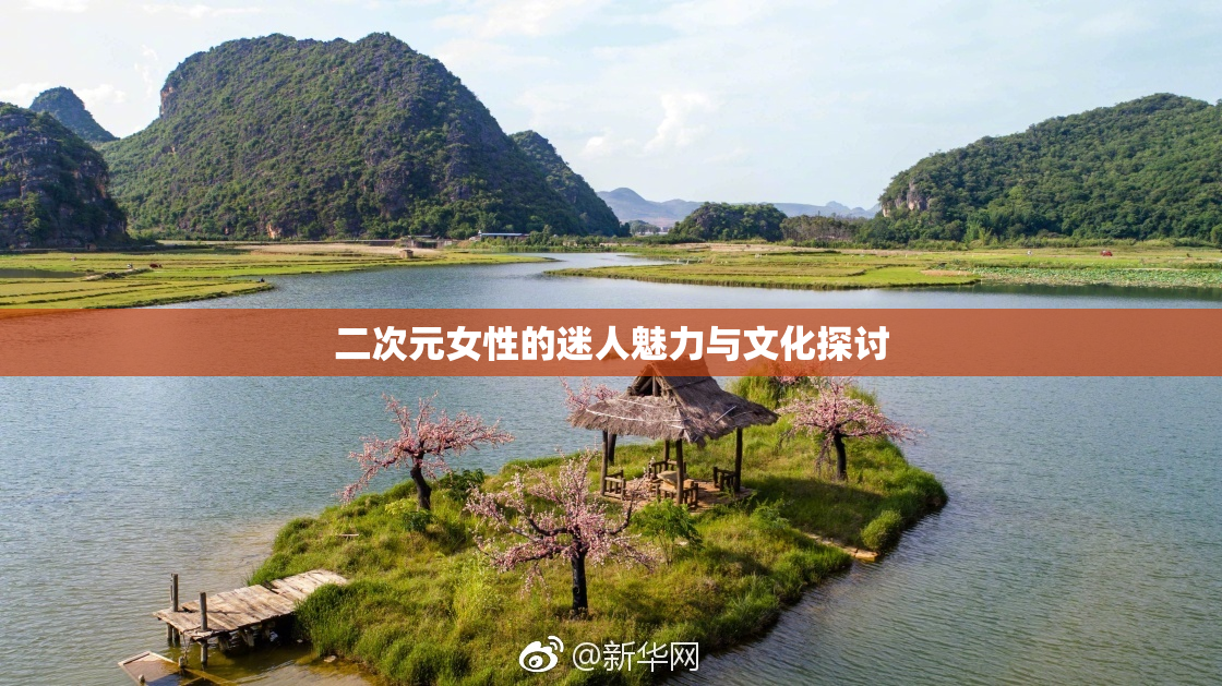 二次元女性的迷人魅力与文化探讨