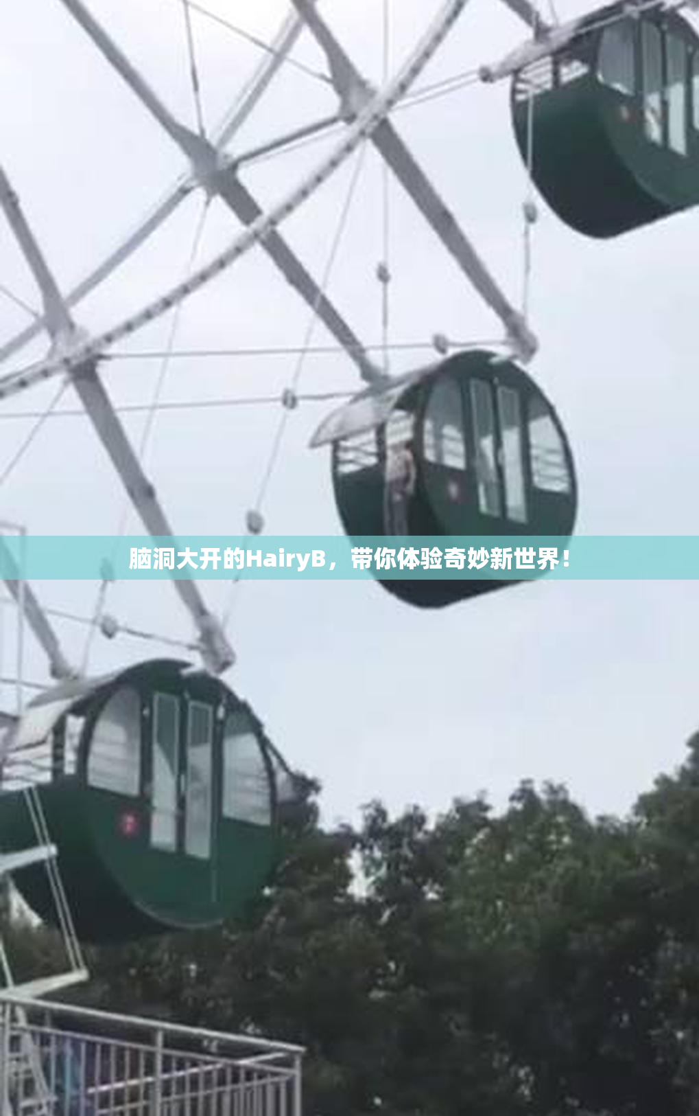 脑洞大开的HairyB，带你体验奇妙新世界！