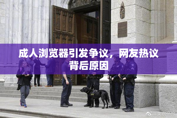 成人浏览器引发争议，网友热议背后原因