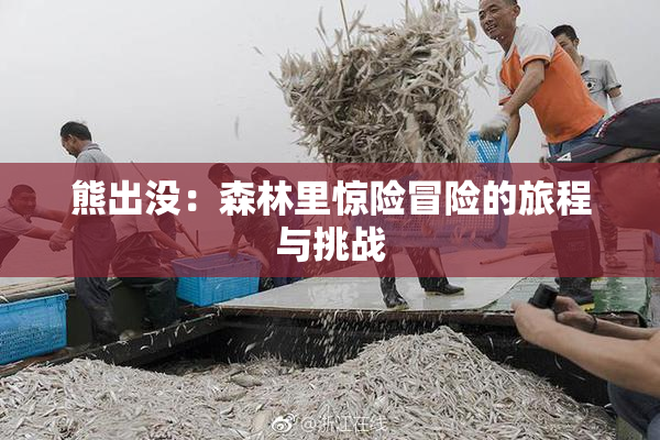 熊出没：森林里惊险冒险的旅程与挑战