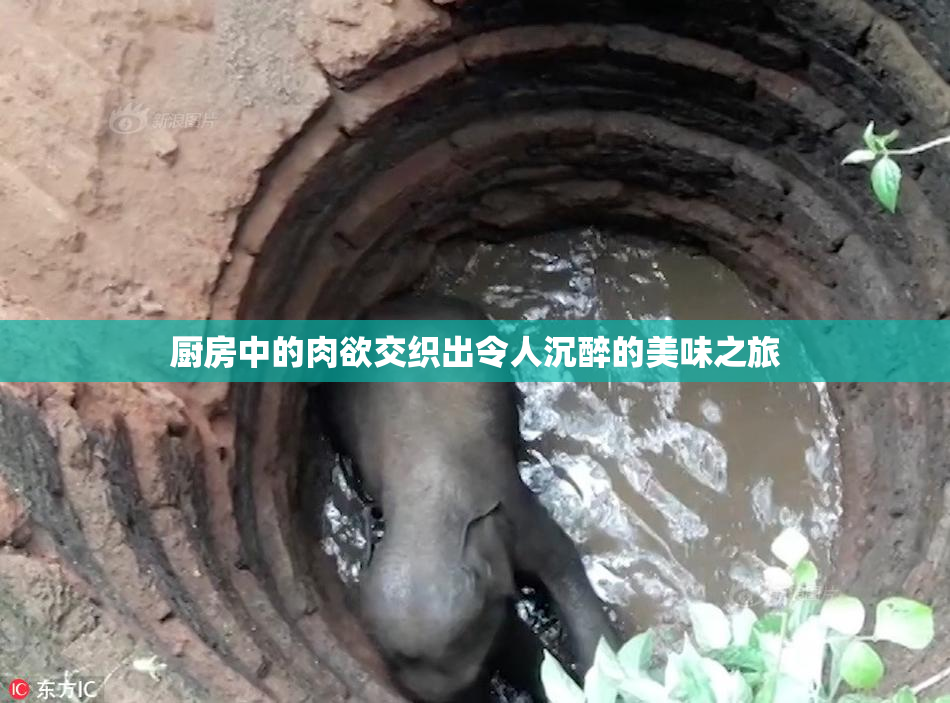 厨房中的肉欲交织出令人沉醉的美味之旅