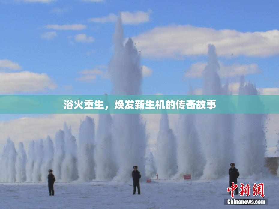 浴火重生，焕发新生机的传奇故事