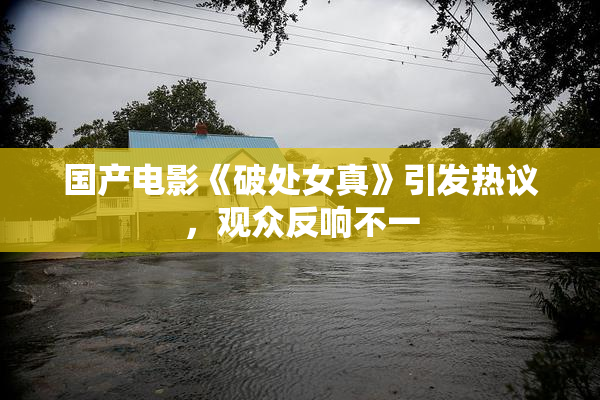 国产电影《破处女真》引发热议，观众反响不一