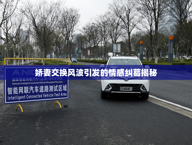 娇妻交换风波引发的情感纠葛揭秘