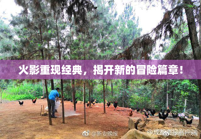 火影重现经典，揭开新的冒险篇章！