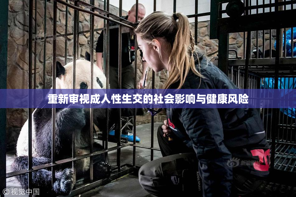 重新审视成人性生交的社会影响与健康风险