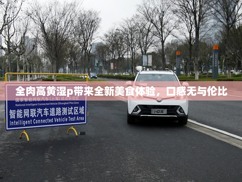 全肉高黄湿p带来全新美食体验，口感无与伦比