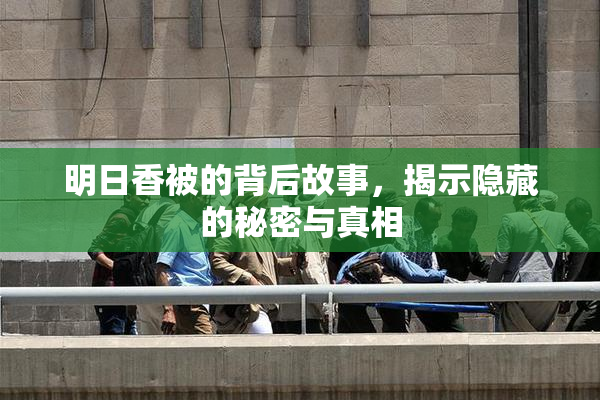 明日香被的背后故事，揭示隐藏的秘密与真相