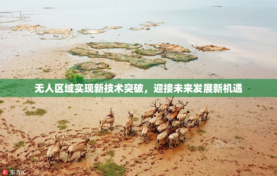 无人区域实现新技术突破，迎接未来发展新机遇