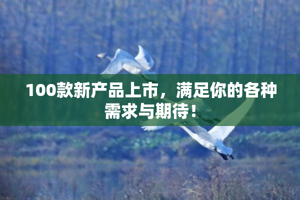 100款新产品上市，满足你的各种需求与期待！