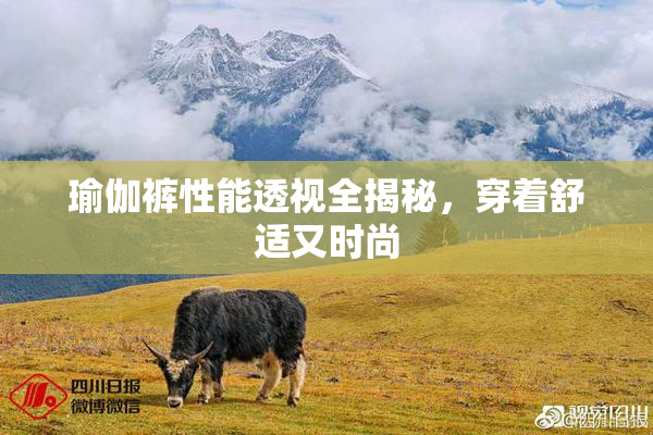 瑜伽裤性能透视全揭秘，穿着舒适又时尚