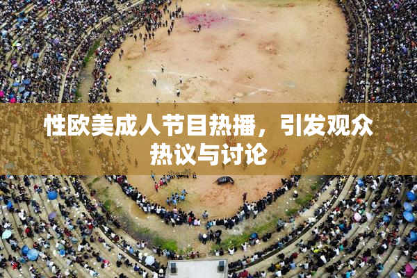 性欧美成人节目热播，引发观众热议与讨论