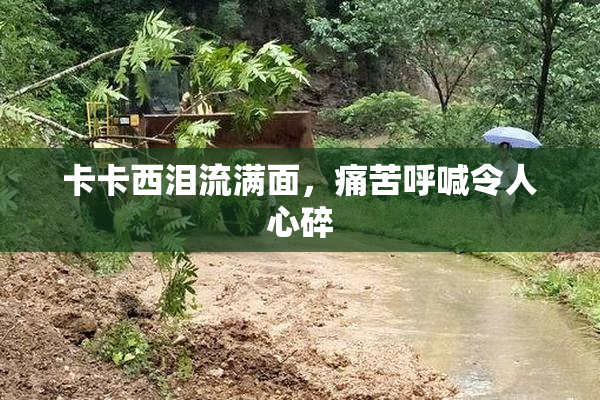 卡卡西泪流满面，痛苦呼喊令人心碎