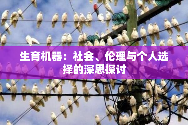 生育机器：社会、伦理与个人选择的深思探讨