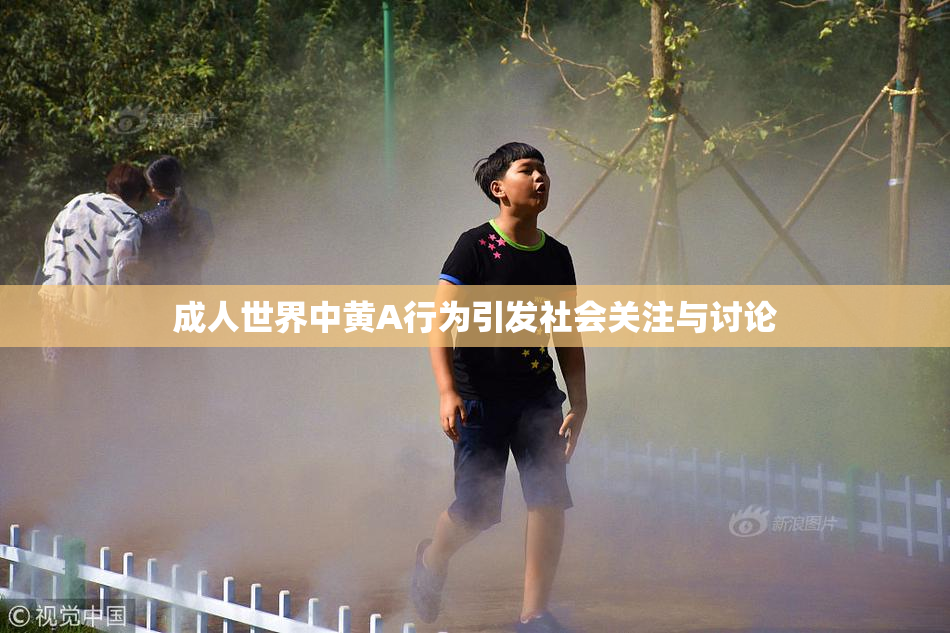 成人世界中黄A行为引发社会关注与讨论