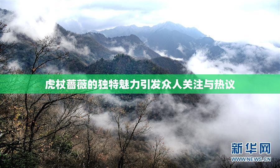 虎杖蔷薇的独特魅力引发众人关注与热议