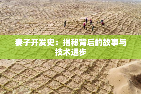 妻子开发史：揭秘背后的故事与技术进步