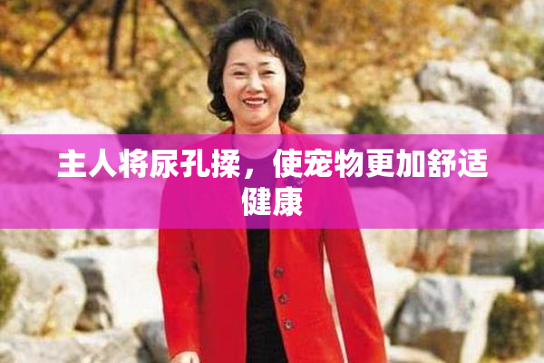 主人将尿孔揉，使宠物更加舒适健康