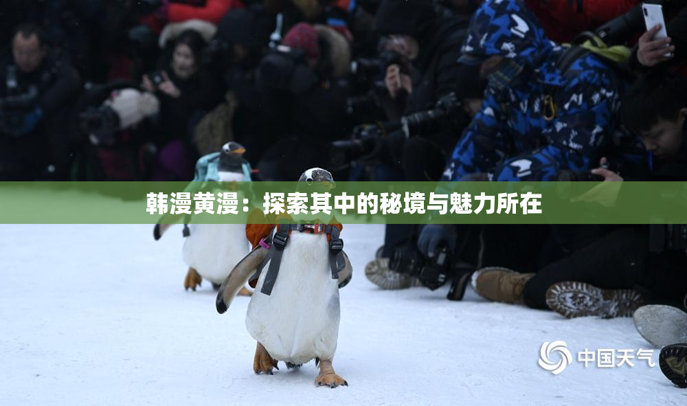 韩漫黄漫：探索其中的秘境与魅力所在