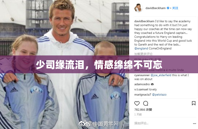 少司缘流泪，情感绵绵不可忘
