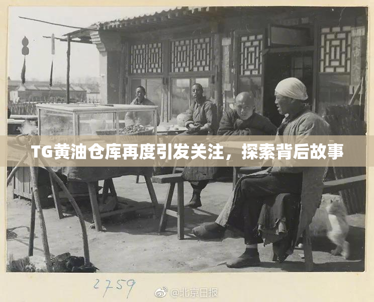 TG黄油仓库再度引发关注，探索背后故事