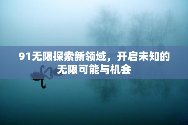 91无限探索新领域，开启未知的无限可能与机会