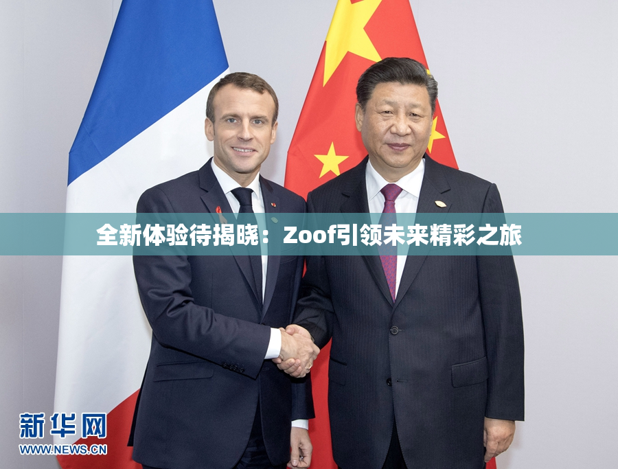 全新体验待揭晓：Zoof引领未来精彩之旅