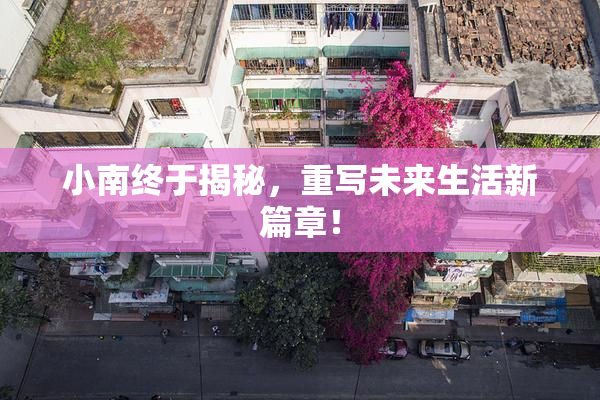 小南终于揭秘，重写未来生活新篇章！