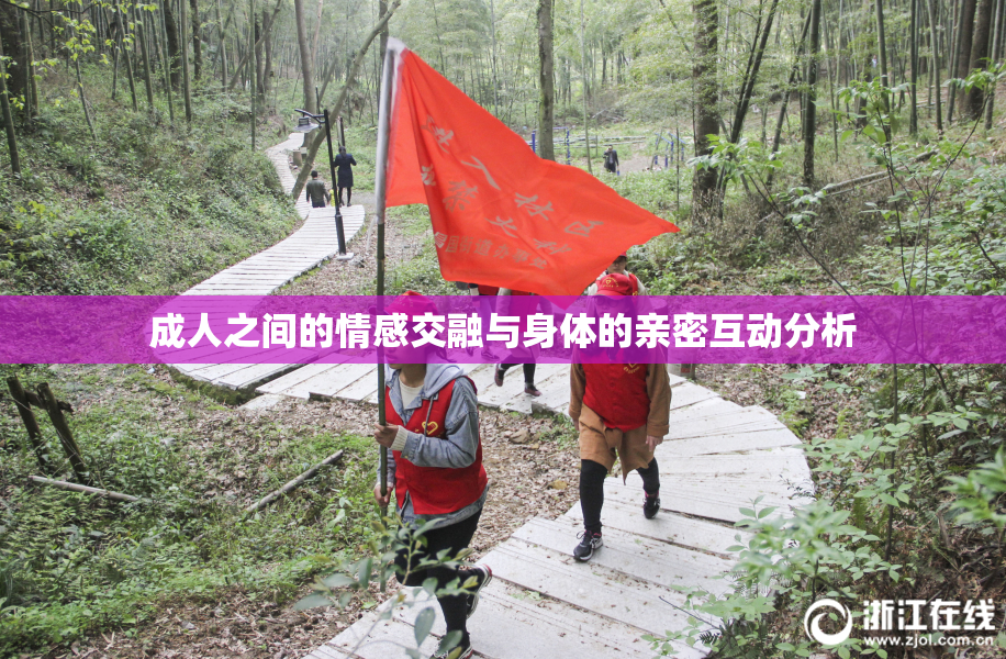 成人之间的情感交融与身体的亲密互动分析