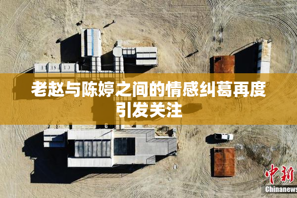 老赵与陈婷之间的情感纠葛再度引发关注