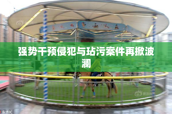 强势干预侵犯与玷污案件再掀波澜
