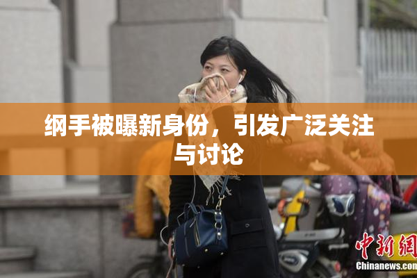 纲手被曝新身份，引发广泛关注与讨论