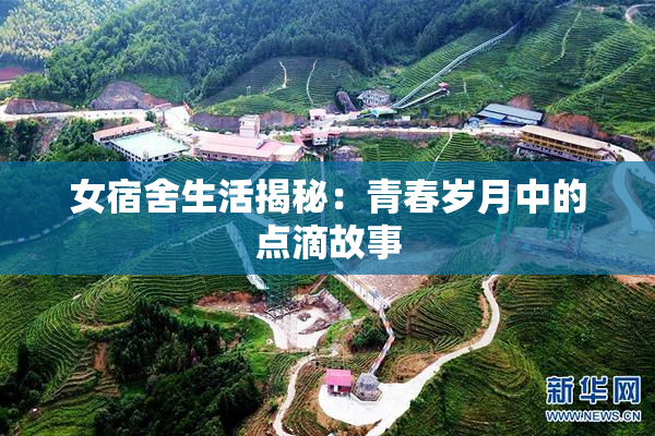 女宿舍生活揭秘：青春岁月中的点滴故事