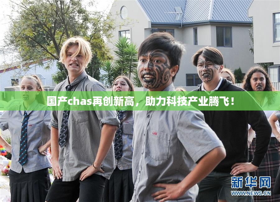 国产chas再创新高，助力科技产业腾飞！