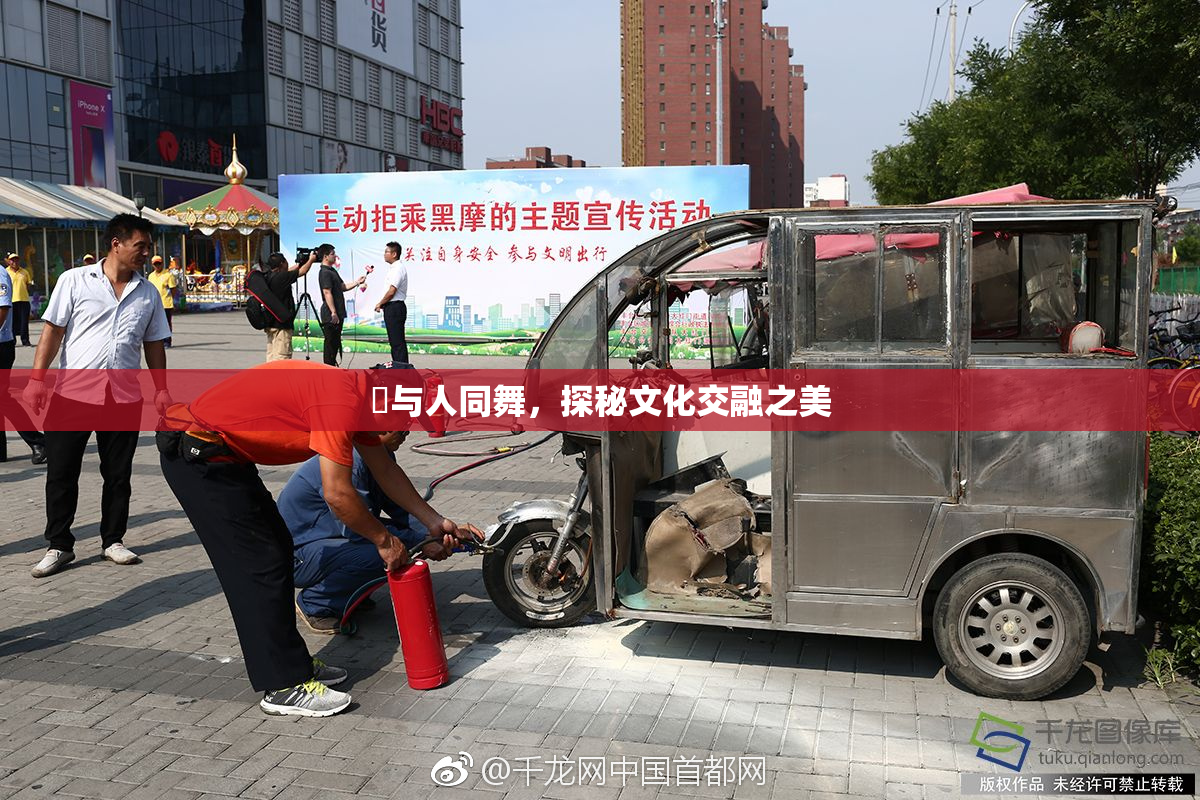 嘼与人同舞，探秘文化交融之美