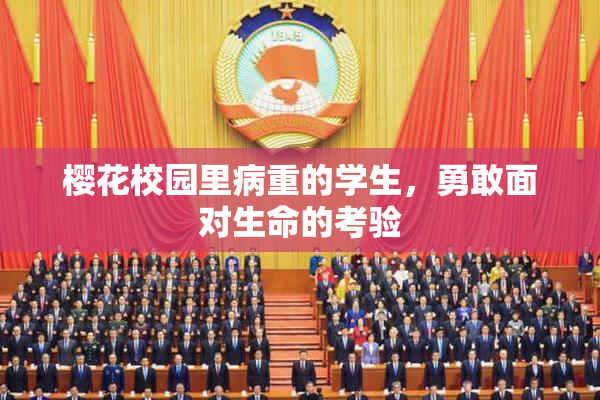 樱花校园里病重的学生，勇敢面对生命的考验
