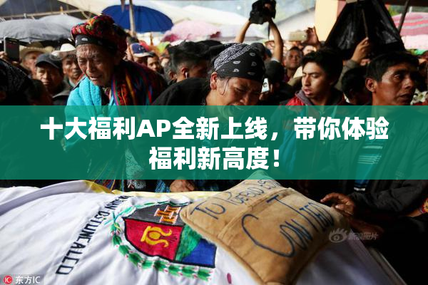 十大福利AP全新上线，带你体验福利新高度！