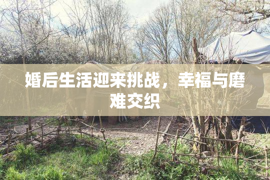 婚后生活迎来挑战，幸福与磨难交织