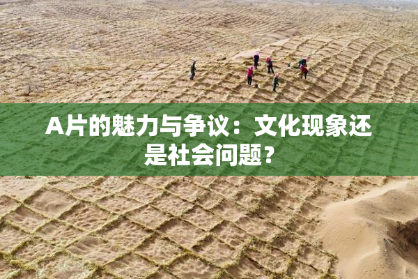 A片的魅力与争议：文化现象还是社会问题？