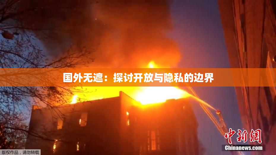 国外无遮：探讨开放与隐私的边界