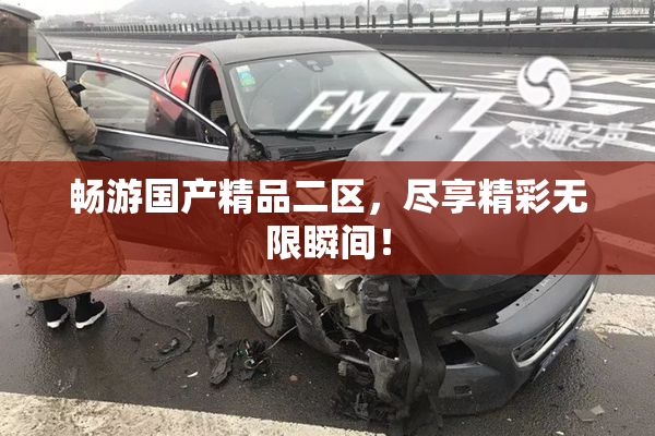 畅游国产精品二区，尽享精彩无限瞬间！