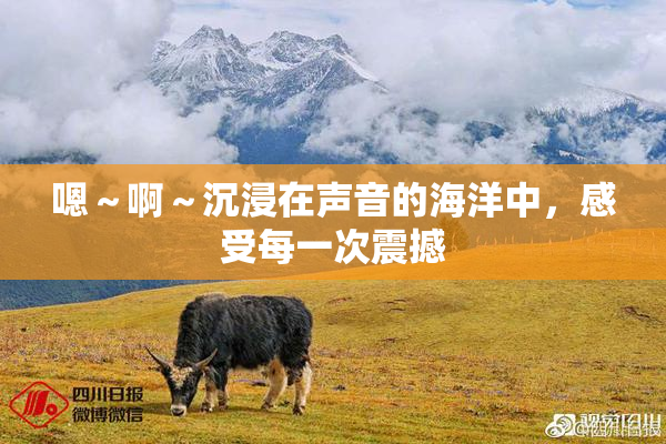 嗯～啊～沉浸在声音的海洋中，感受每一次震撼