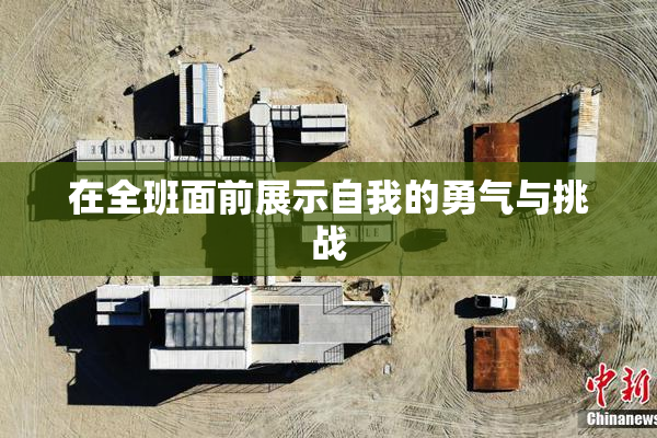 在全班面前展示自我的勇气与挑战