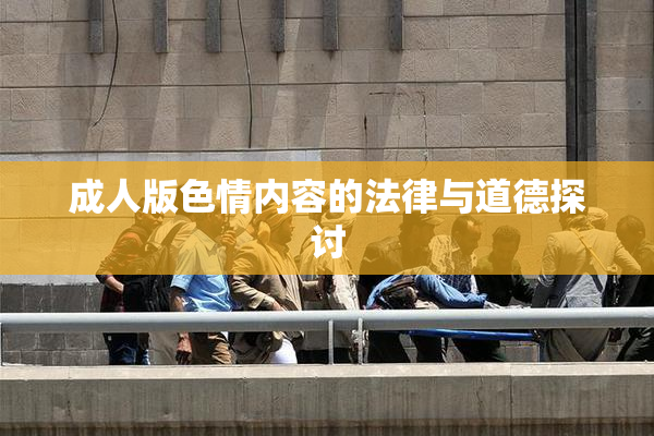 成人版色情内容的法律与道德探讨