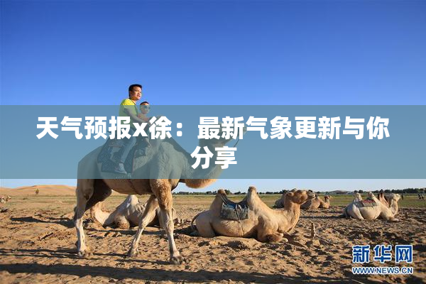 天气预报x徐：最新气象更新与你分享